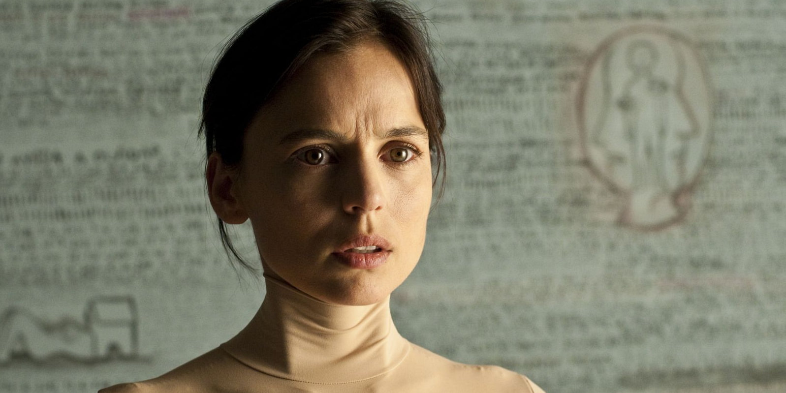 “The Skin I Live In” (2011)